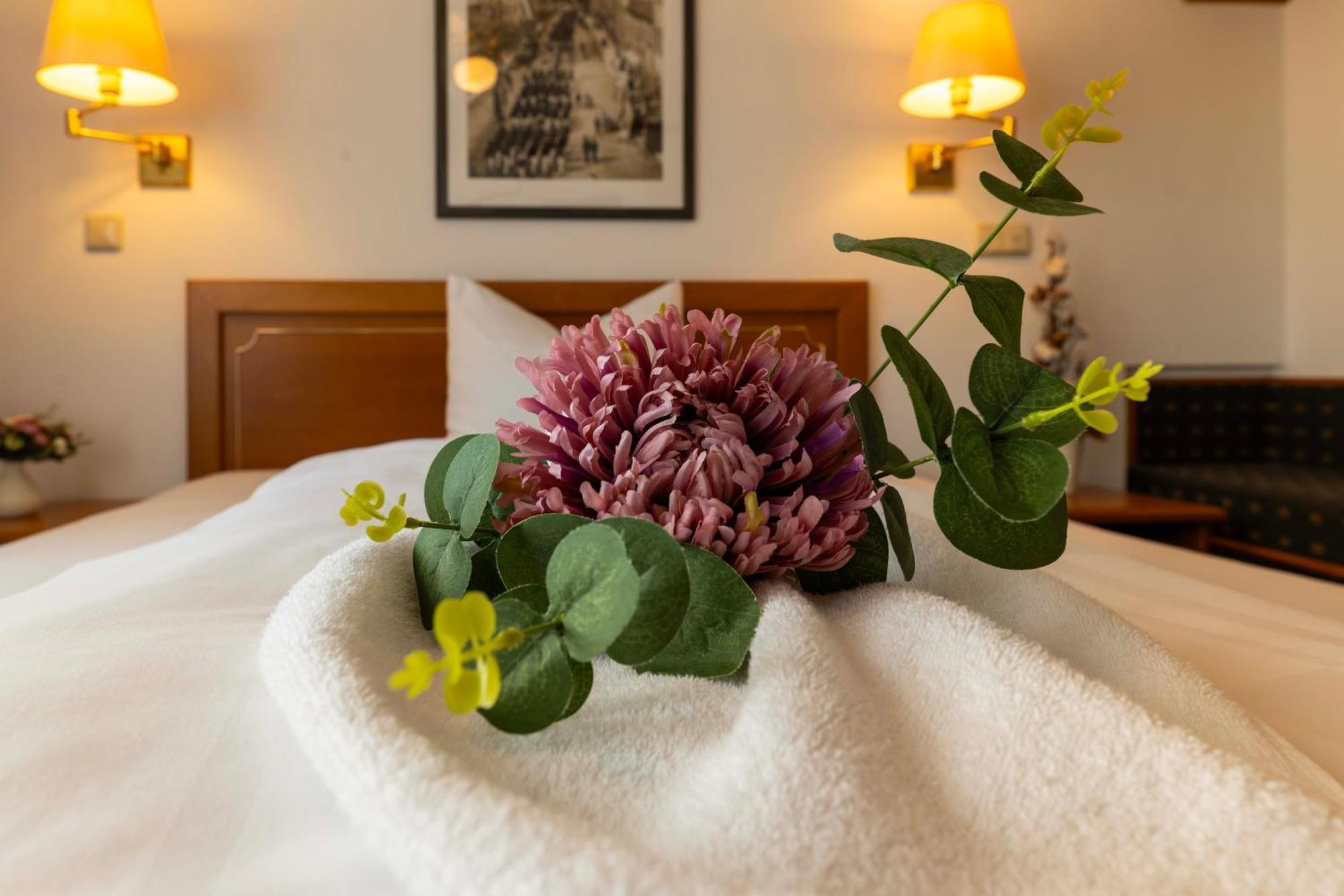 Hotel Alekto Freiberg Kültér fotó